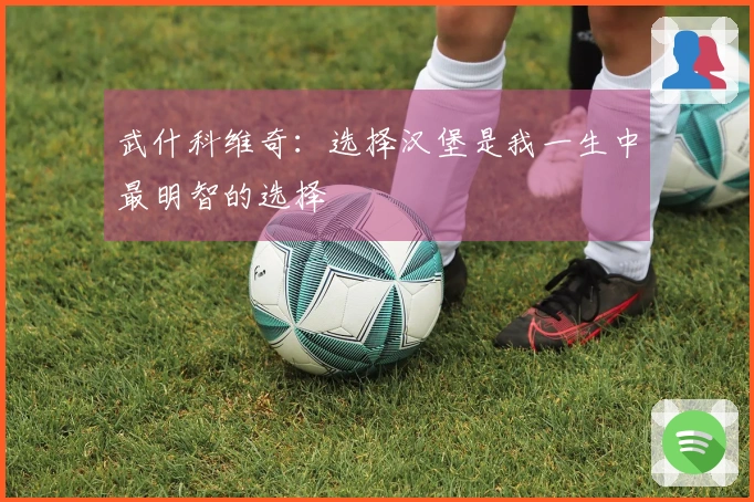武什科维奇：选择汉堡是我一生中最明智的选择