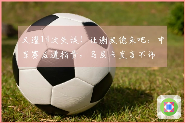 又遭14次失误！让谢泼德来吧，申京赛后遭指责，乌度卡直言不讳