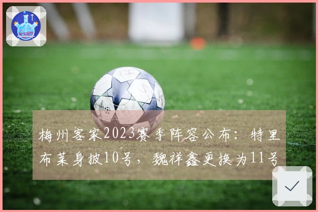 梅州客家2023赛季阵容公布：特里布莱身披10号，魏祥鑫更换为11号